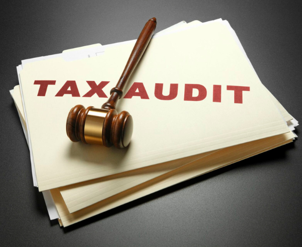 Income Tax Audit